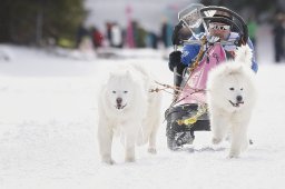 Lenzerheide 2013